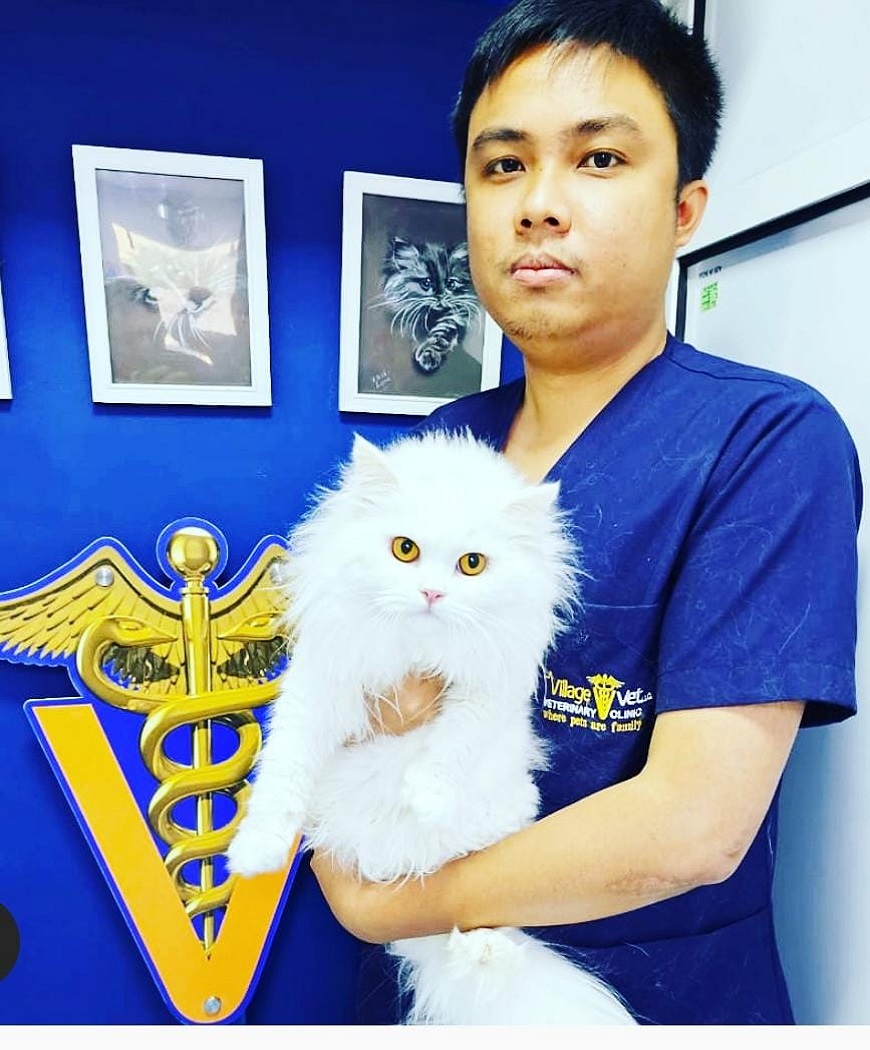 Village Vet LLC Village Vet LLC